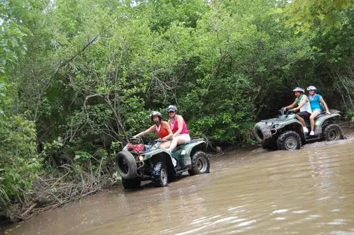 Honda atv bluebook #4