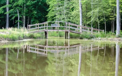 What Makes This Campground Owner So Special?