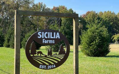Sicilia Farms in New Jersey Campground Review