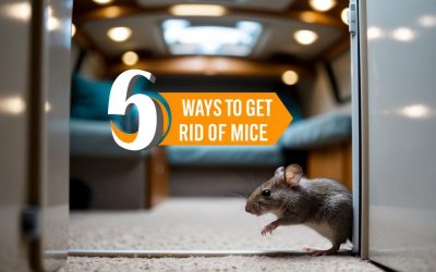 6 Ways to Get Rid of Mice in an RV
