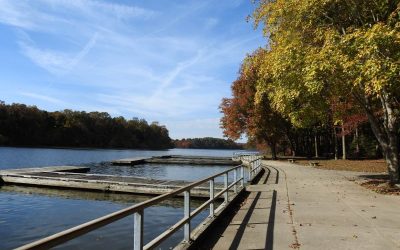 Lums Pond State Park Campground Review (Great Price!)